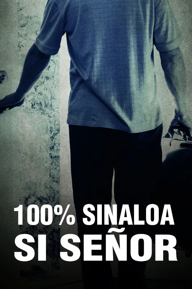 100% Sinaloa, Yes Sir poster background