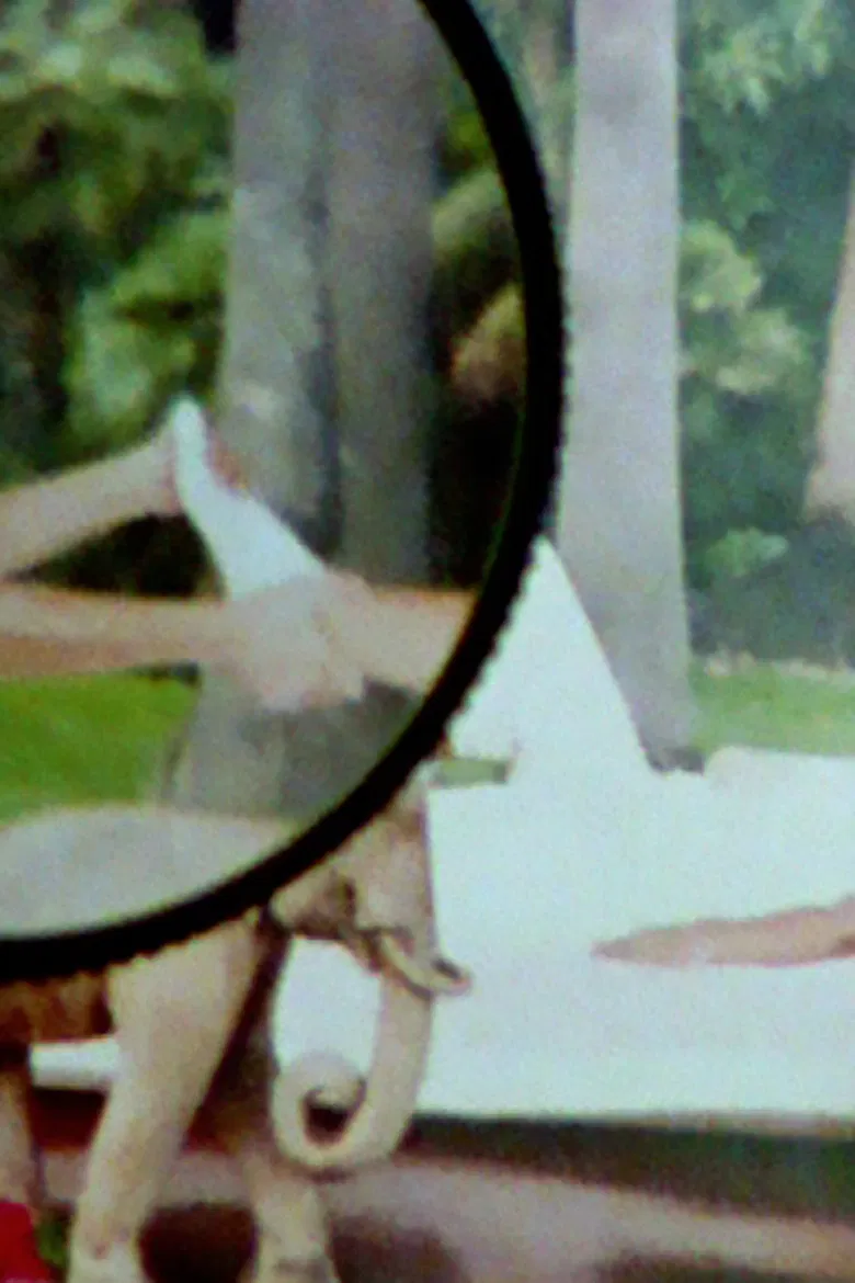 La veglia poster background