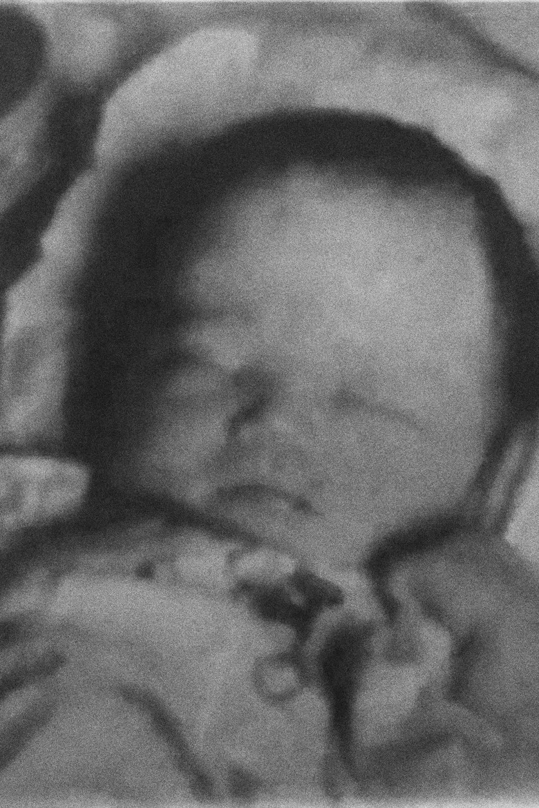 I Am Lost to the World poster background