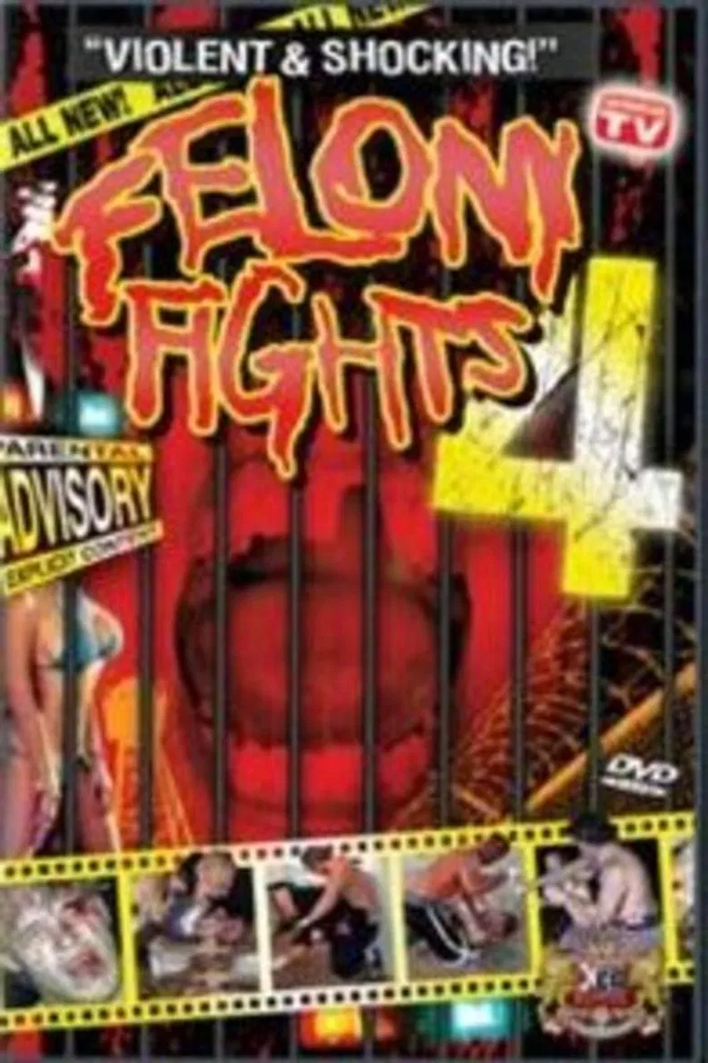 Felony Fights 4: Down and Dirty poster background