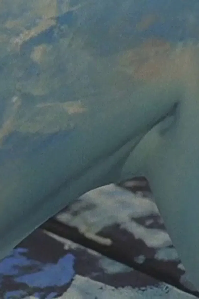 Swan’s Island poster background