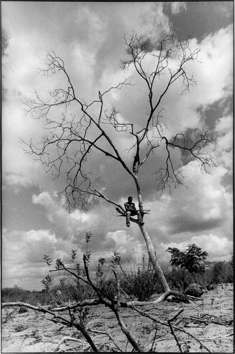 Dreaming of São Paulo poster background