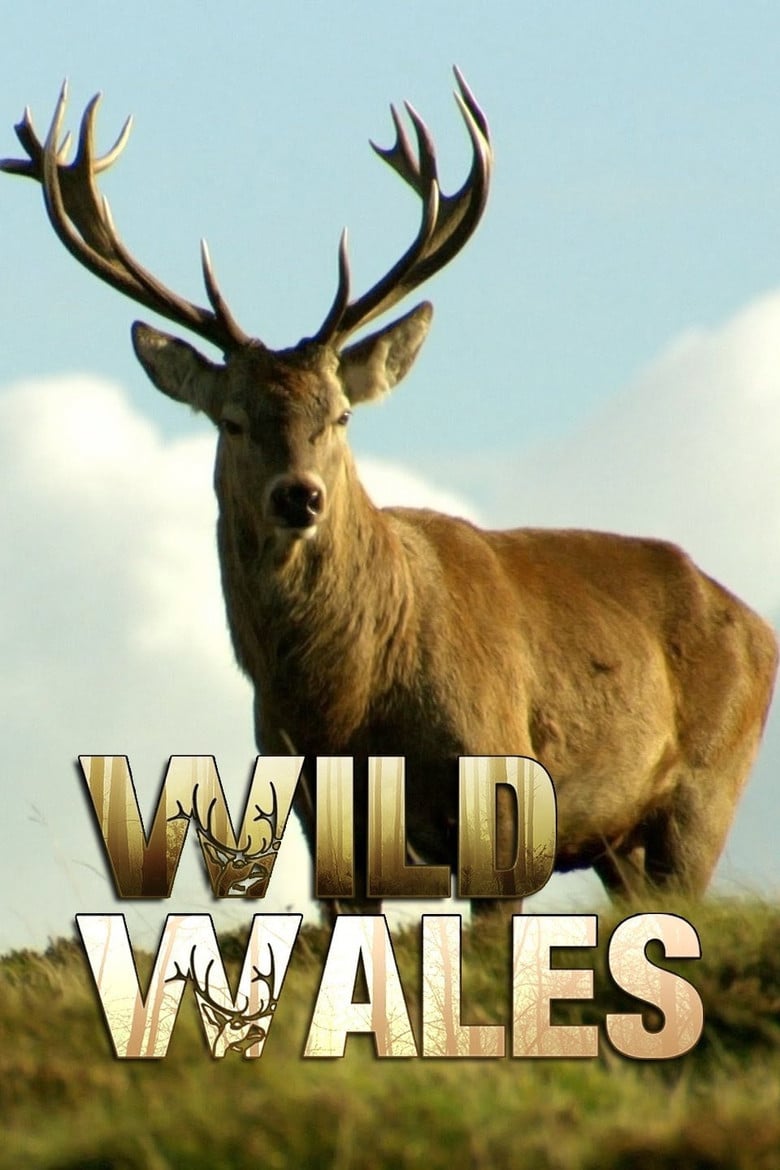 Wild Wales poster background