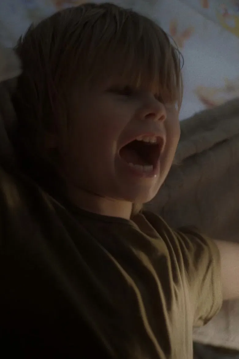 Towel Dragons poster background