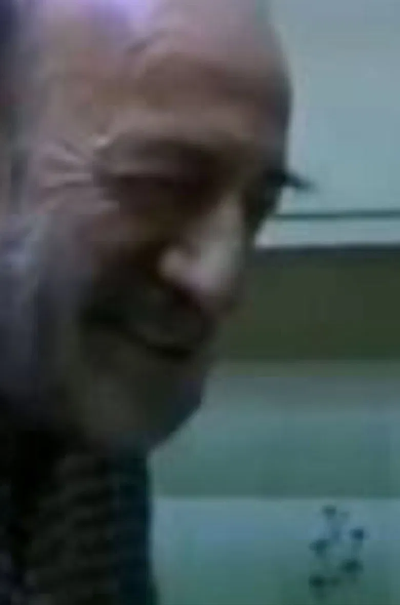 Visits to the Home of E. H. Gonatas poster background