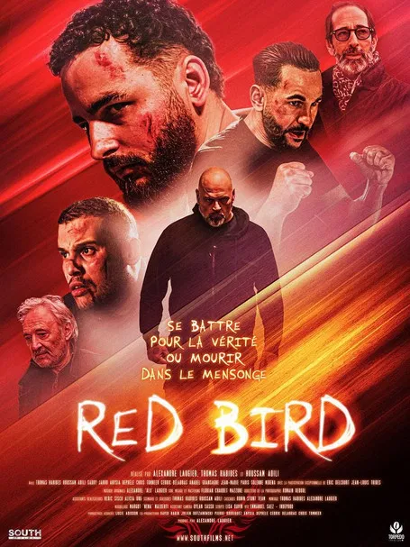 Red Bird poster background