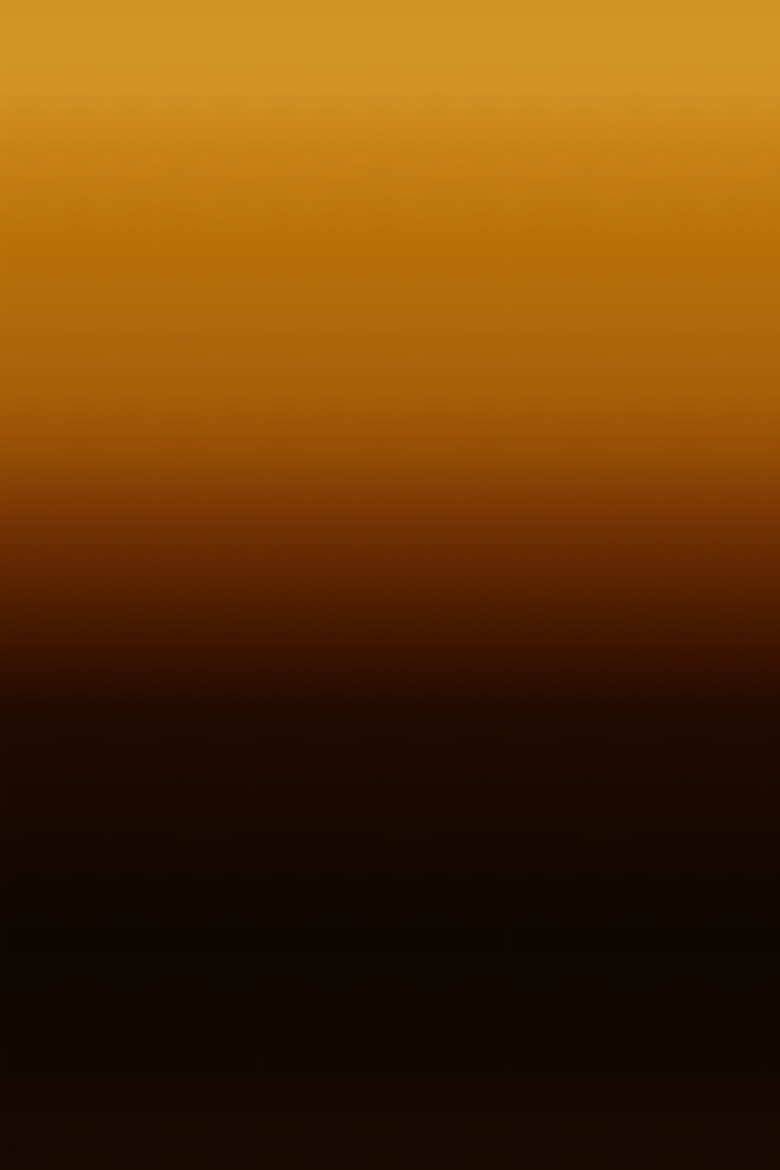 Nina poster background