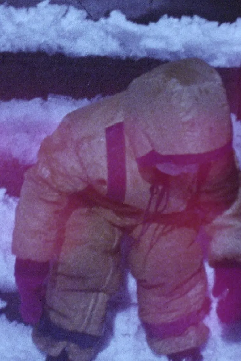 Diary 1974-1975 poster background