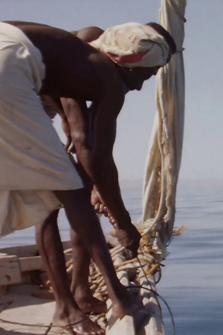 Hauling Sharks poster background