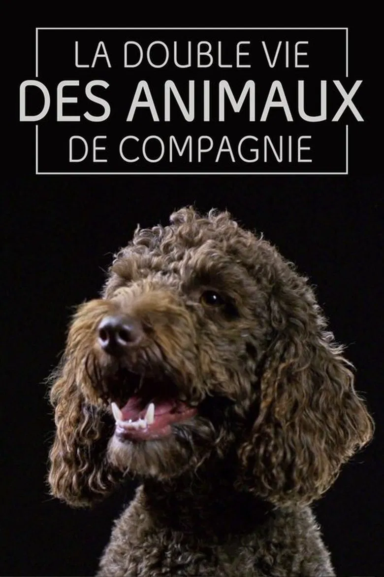 The Secret Life of Pets poster background