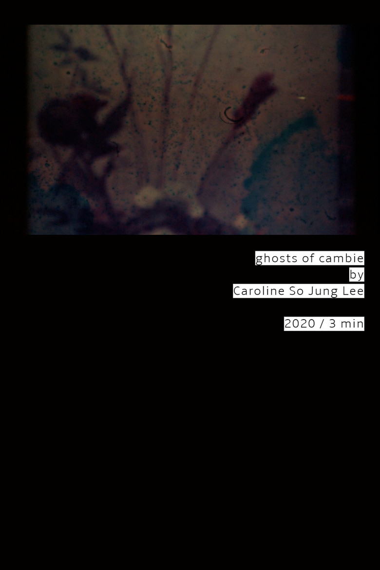 ghosts of cambie poster background