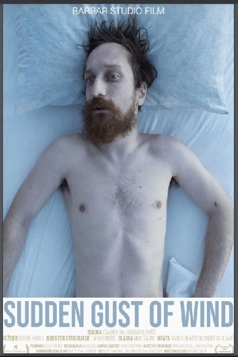 Sudden Gust of Wind poster background