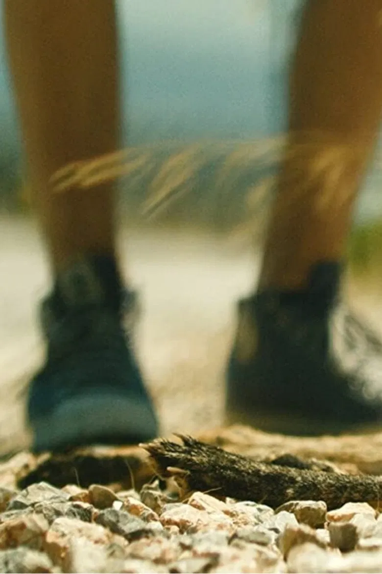 John & Jenny poster background