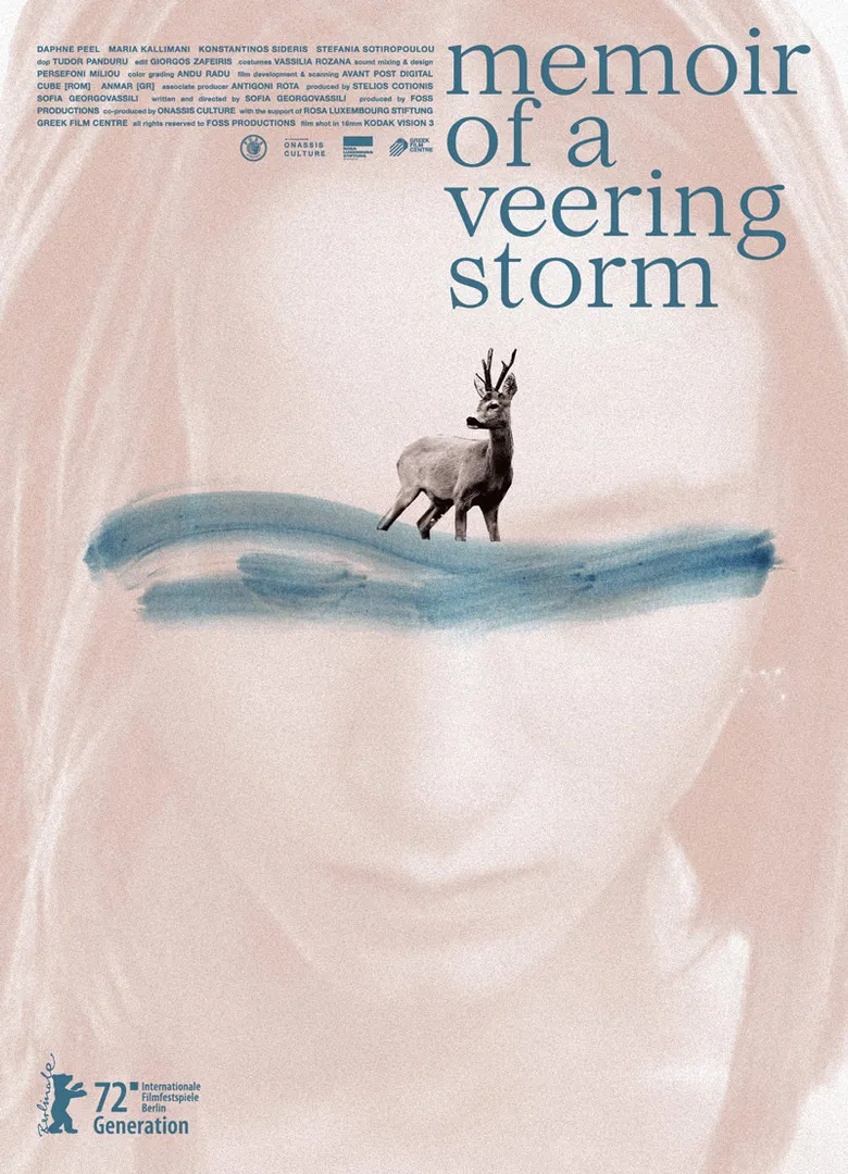 Memoir of a Veering Storm poster background