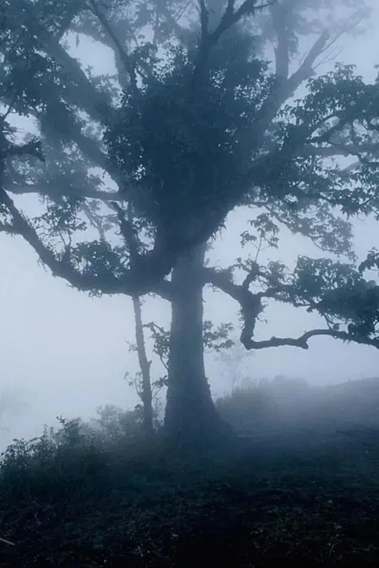 Vampire poster background