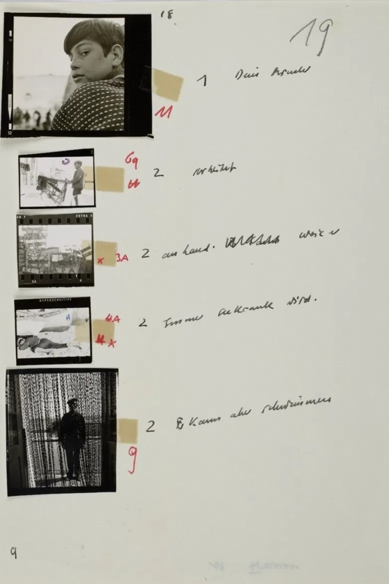 Der Fischmarkt und die Fische poster background