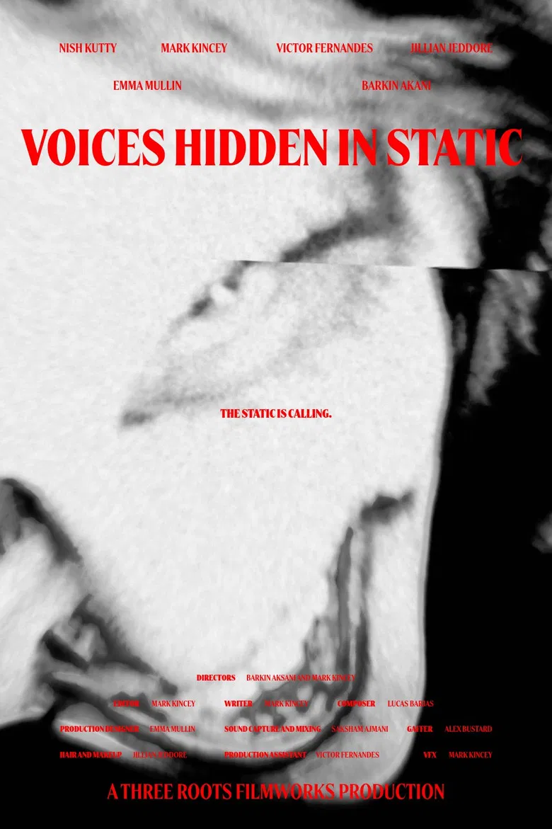 Voices Hidden in Static poster background