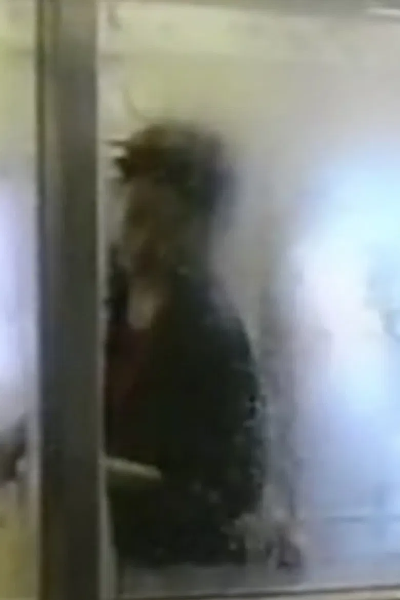 Go-raku-en poster background