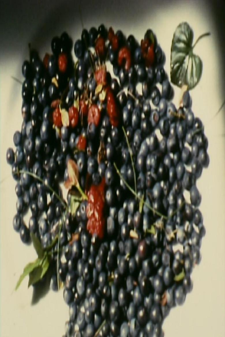 Villa Dionisia poster background