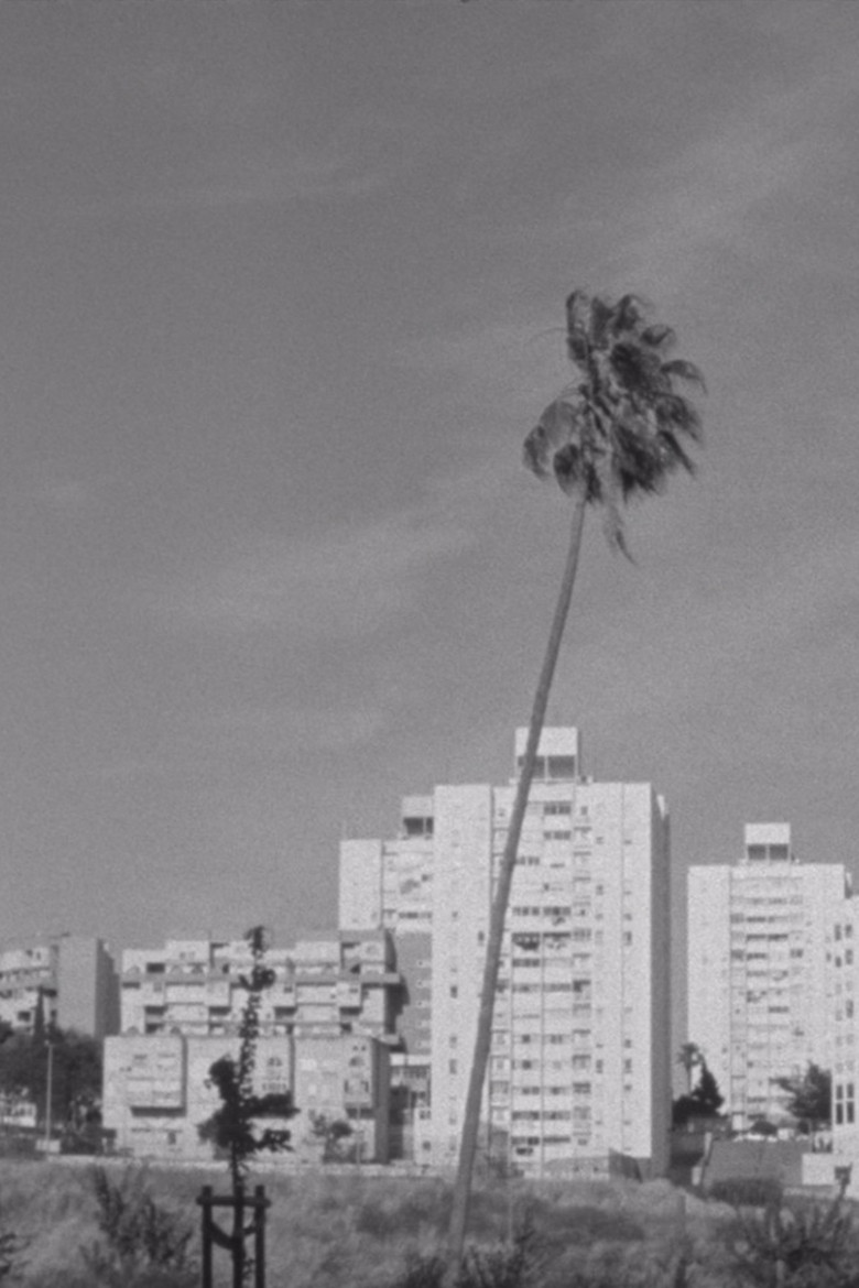 Thirteen Ways of Looking at a Blackbird poster background