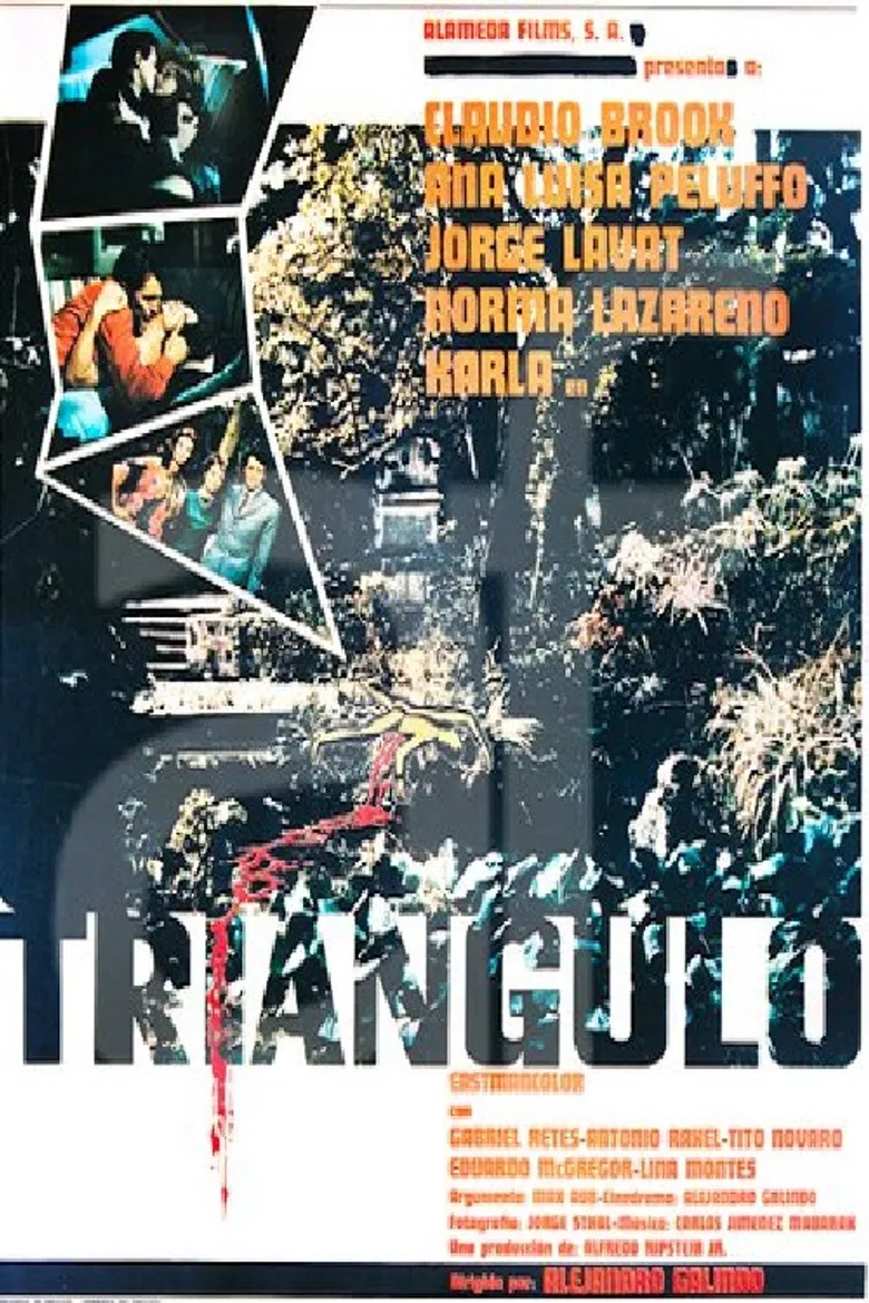 Triángulo poster background