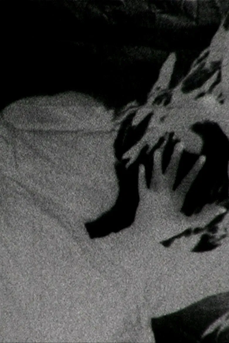 METAMORPHOSE poster background