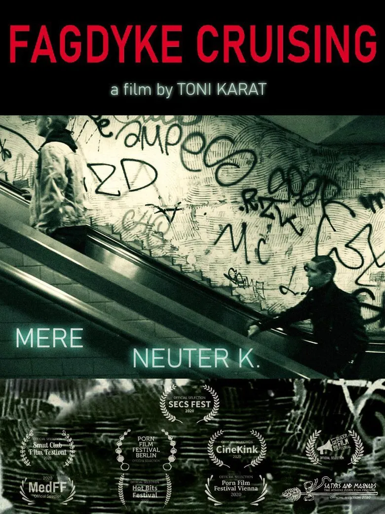 FagDyke Cruising poster background