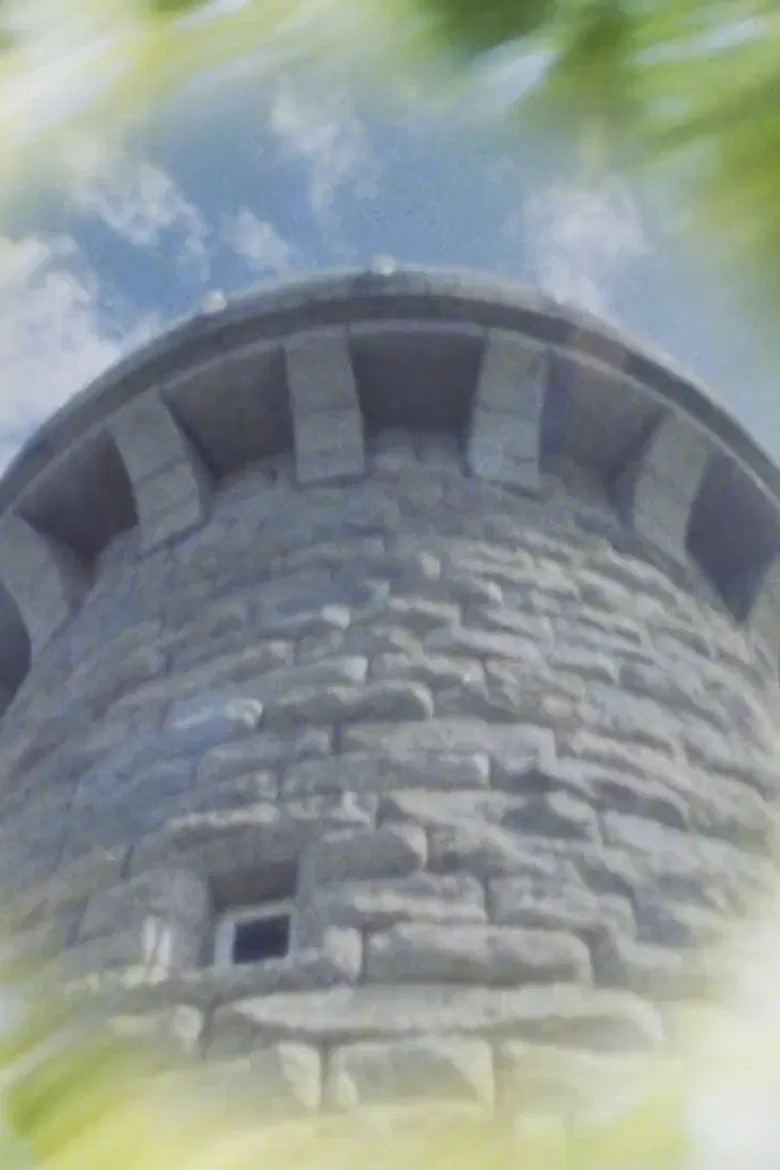 Like a Lighthouse poster background