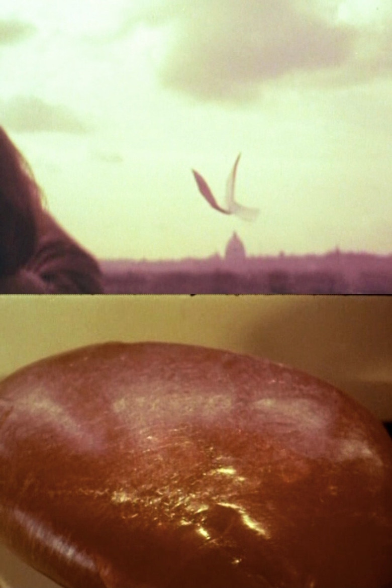 Esperienze in uno spazio non teatrale poster background