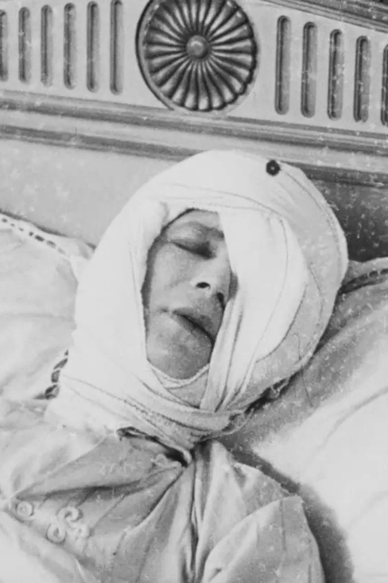 L'Affaire de la rue de Lourcine poster background