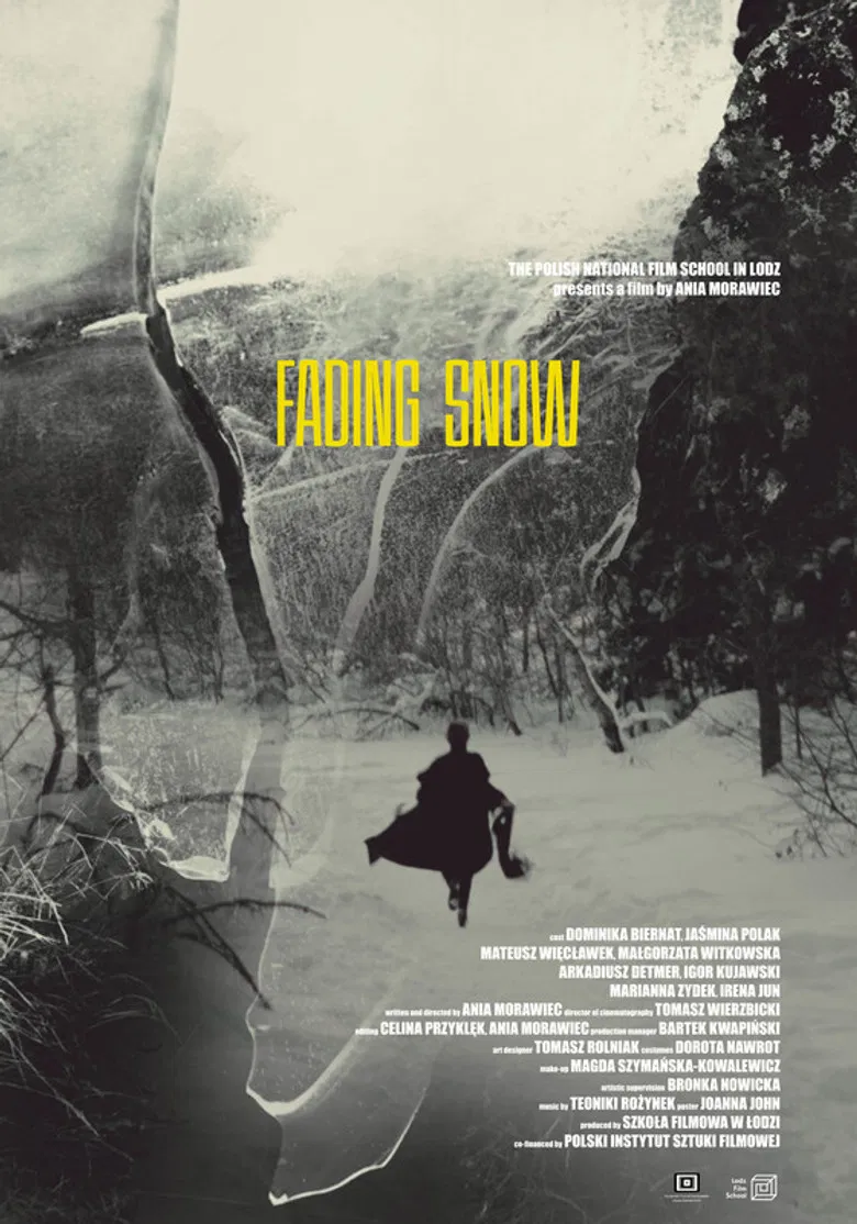Fading Snow poster background