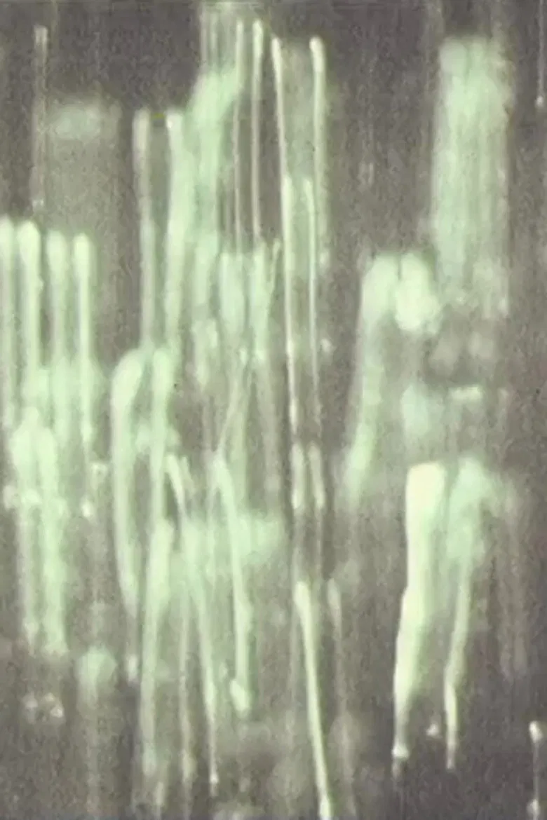 Fahrt durch die Nacht poster background