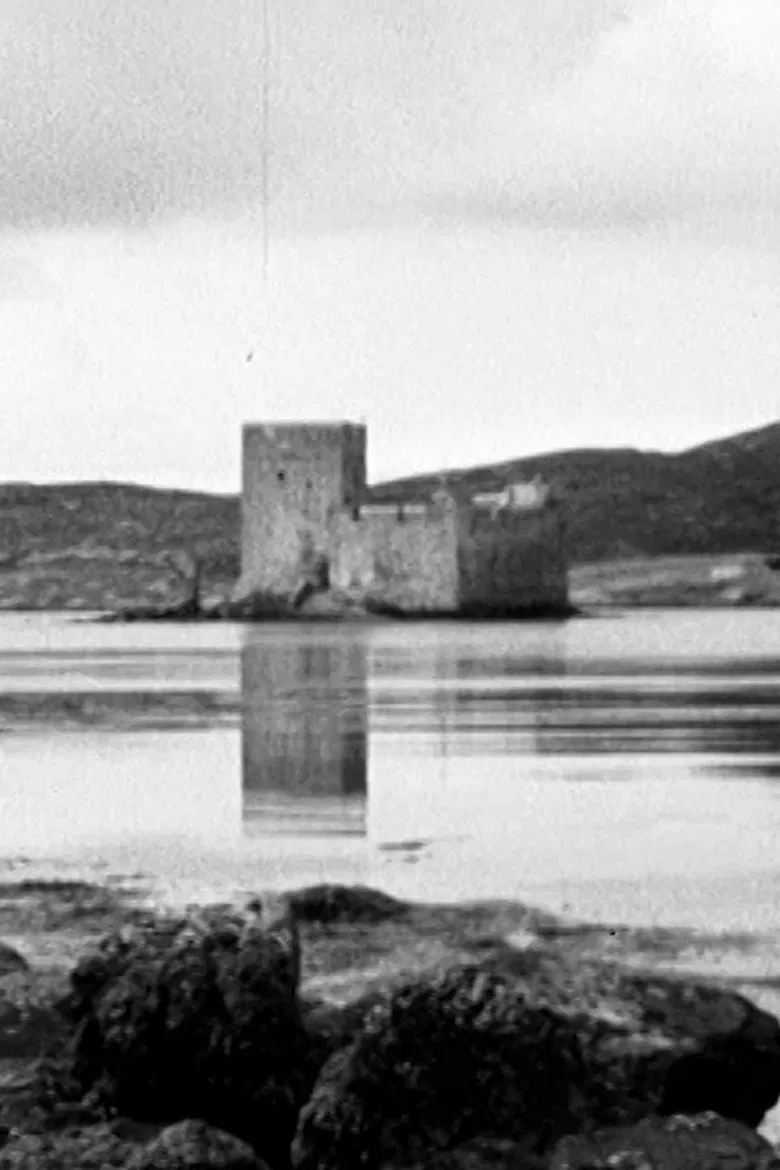 The Disappearing Island poster background