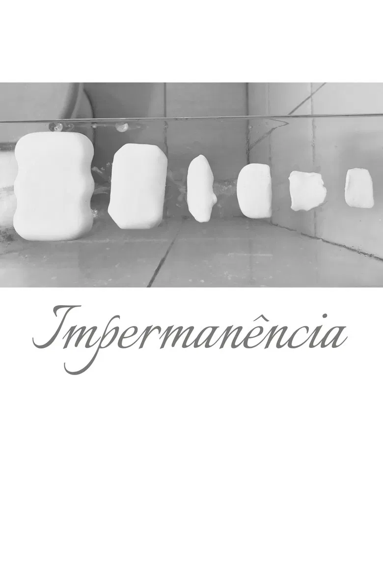 Impermanence poster background