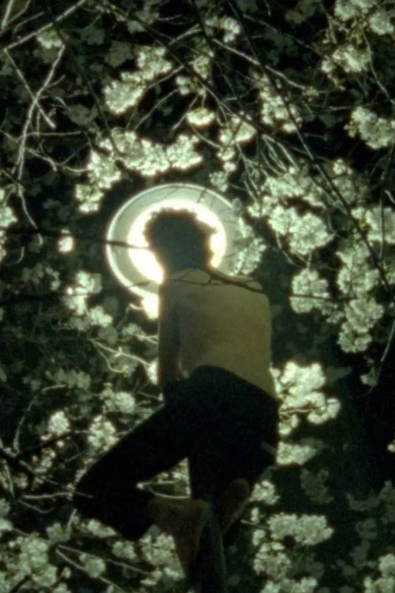 Moth poster background