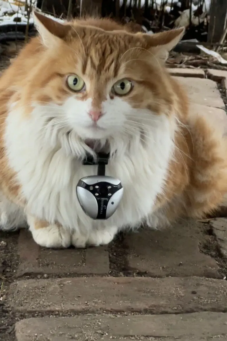 Must Have Meant poster background