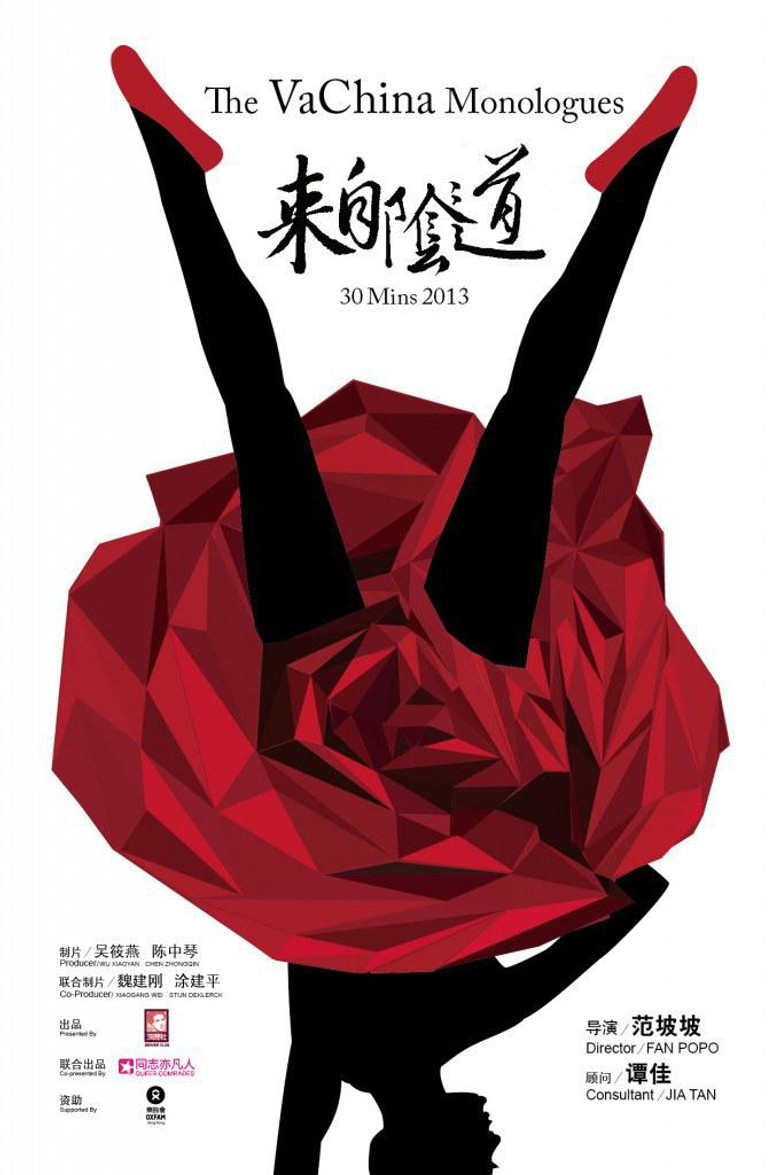 The Vachina Monologues poster background