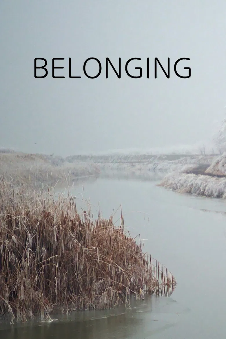 Belonging poster background
