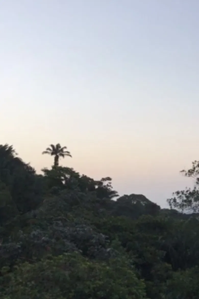 new moon love poster background