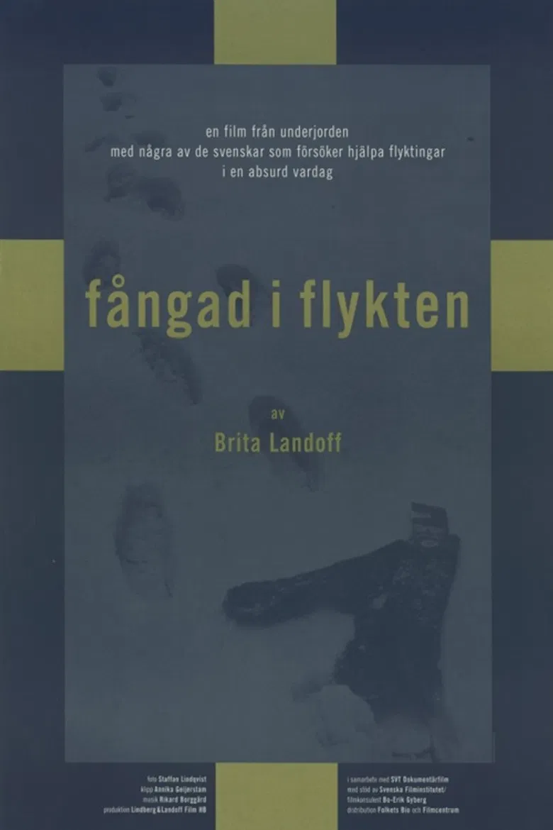 Fångad i flykten poster background
