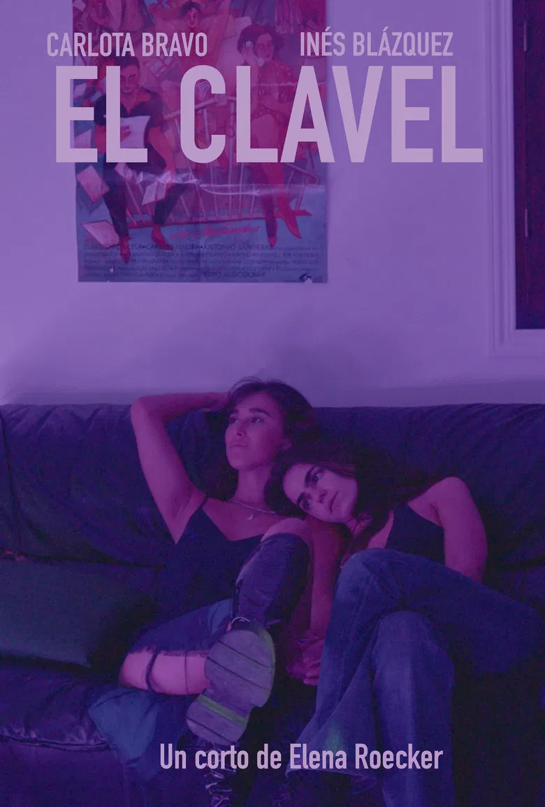 The carnation poster background