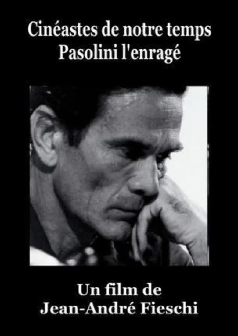 Pasolini l'Enragé poster background