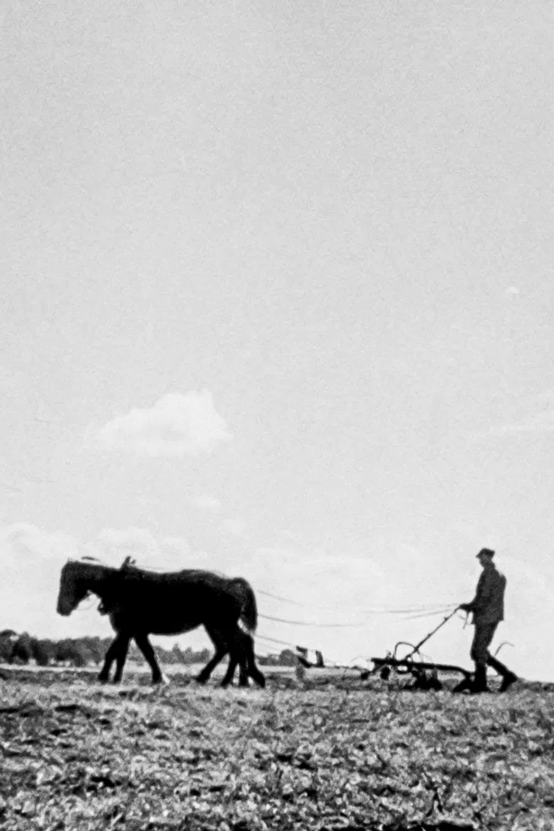 We Are Building New Villages poster background