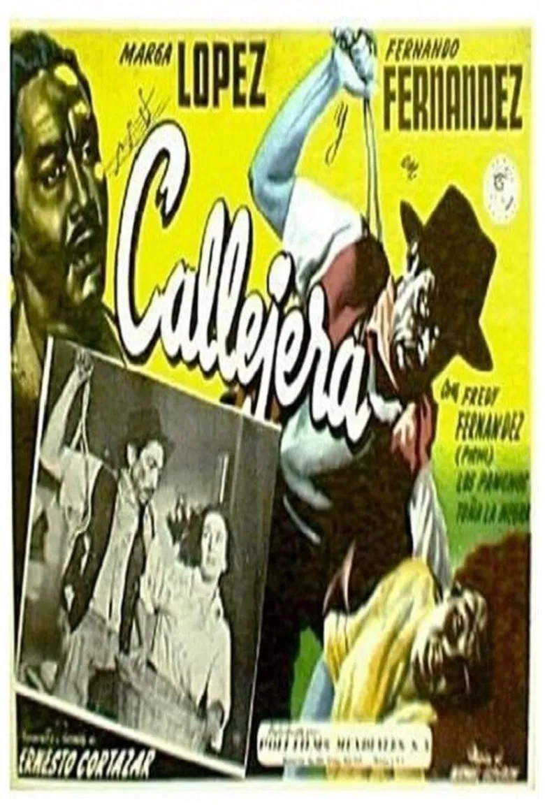 Callejera poster background