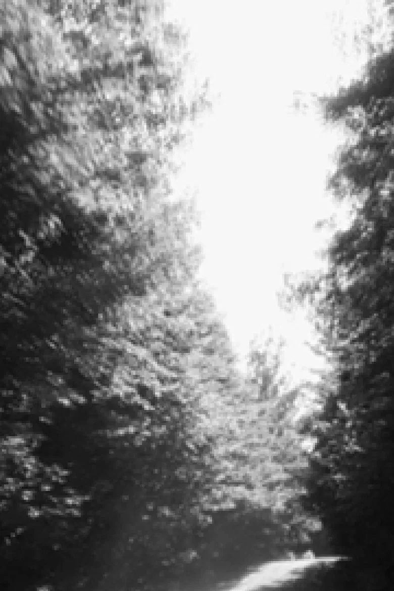 Parallel North poster background