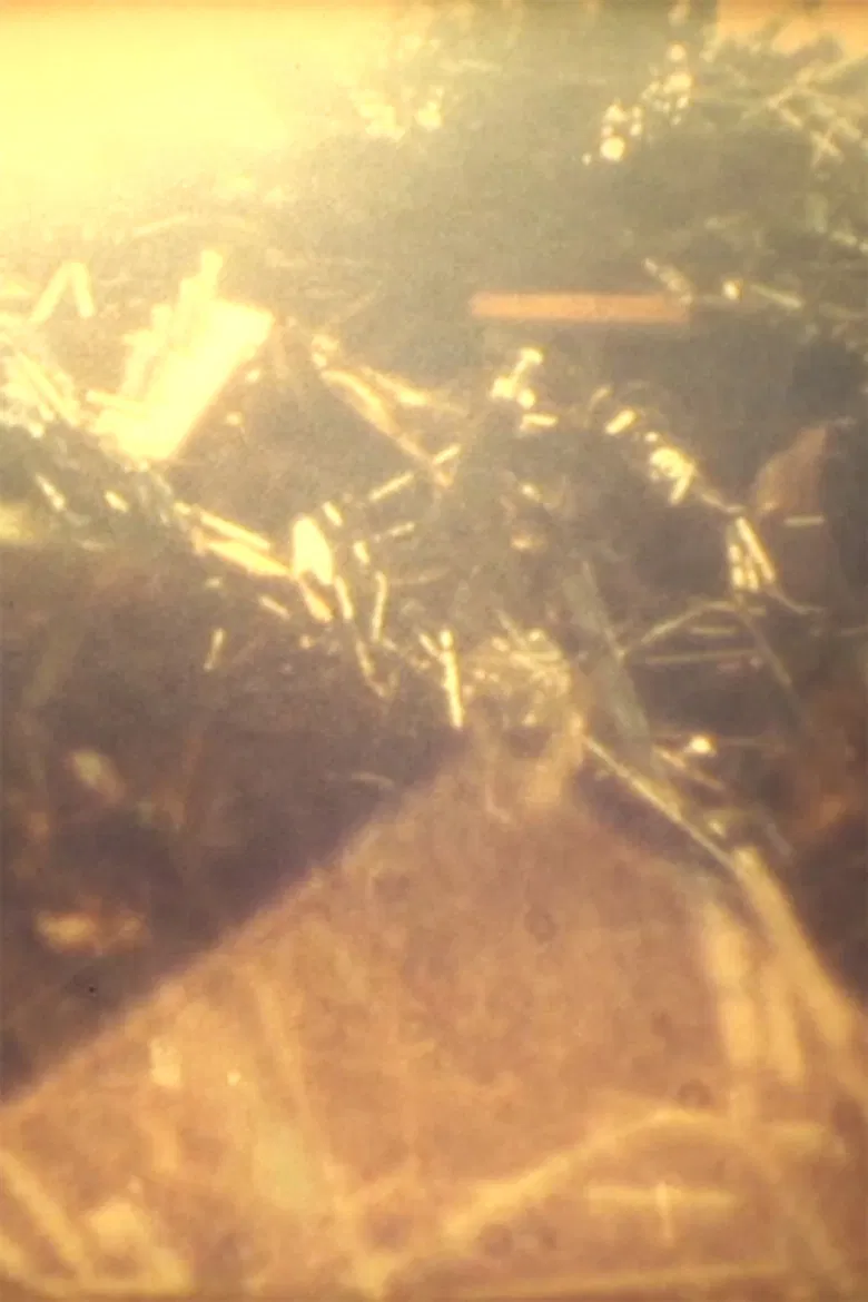 Burning Hill poster background