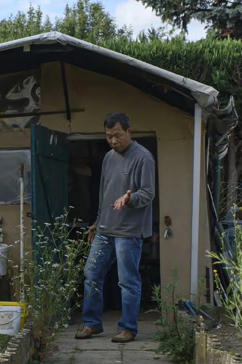 Mr. Vong's Garden poster background