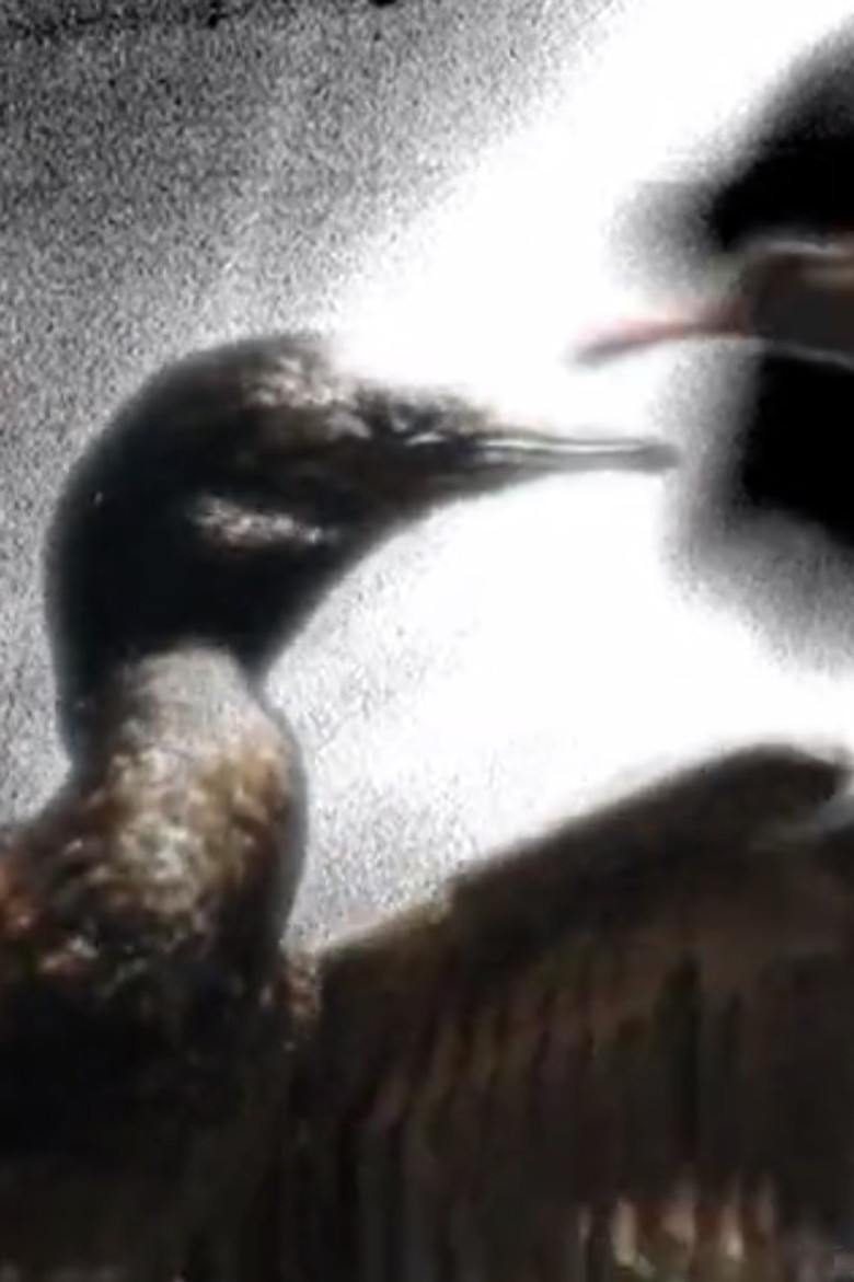 Che Uñüm (Gente Pájaro) poster background