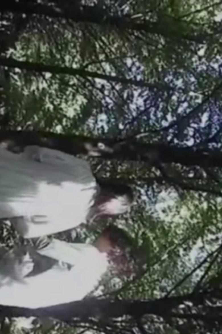 The Honeymoon Song poster background