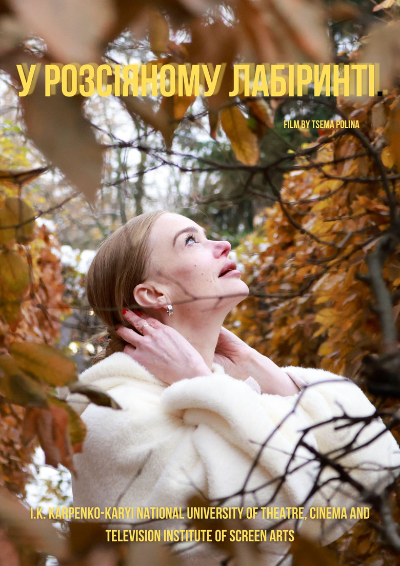 In a Scattered Maze poster background